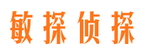 成武侦探公司